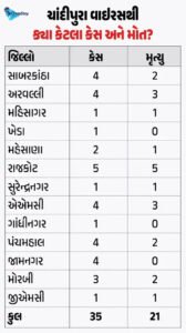 ચાંદીપુરા વાયરસ