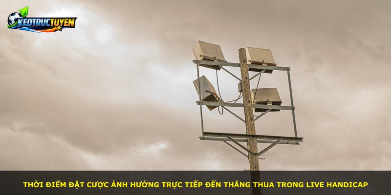 Thời điểm đặt cược ảnh hưởng trực tiếp đến thắng thua trong Live Handicap