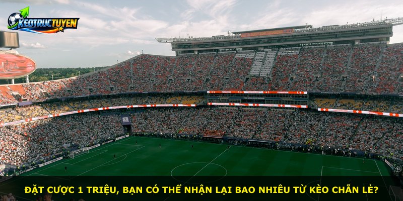 Đặt cược 1 triệu, bạn có thể nhận lại bao nhiêu từ kèo chẵn lẻ?