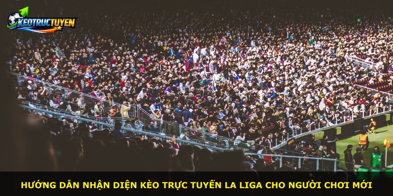 Hướng dẫn nhận diện kèo trực tuyến La Liga cho người chơi mới